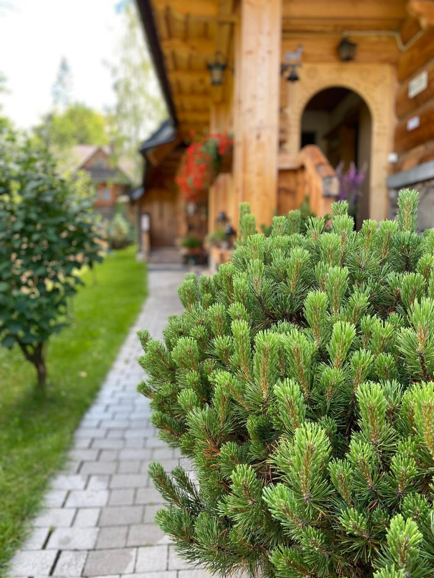 Apartamenty U Giewonta Zakopane Exterior foto